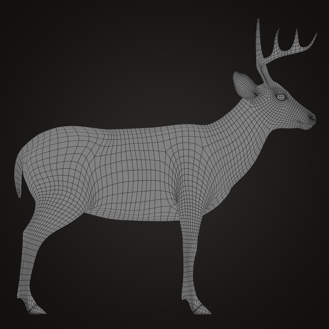 Deer 3D Model – Photorealistic Rigged Animal with Textures - View 10