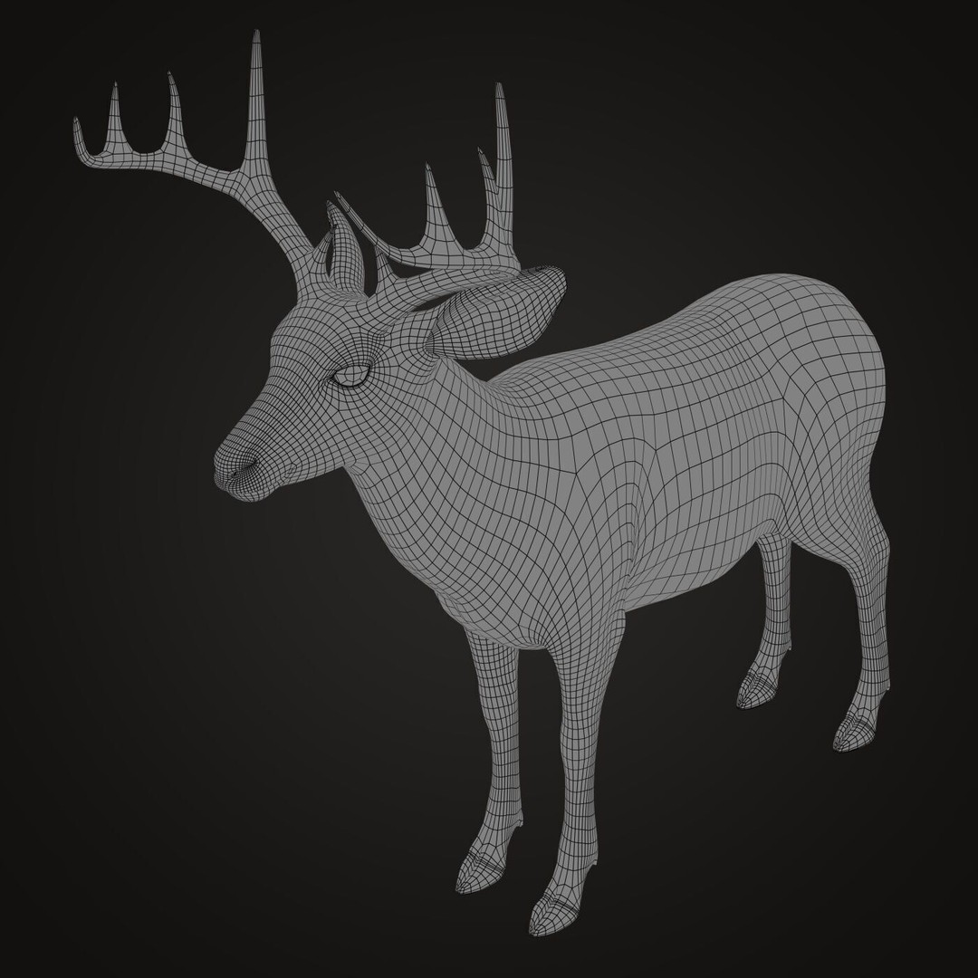 Deer 3D Model – Photorealistic Rigged Animal with Textures - View 11
