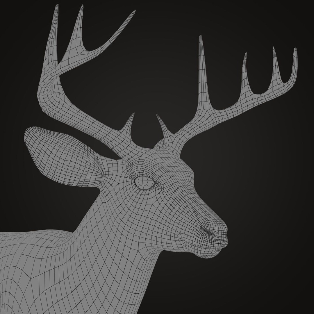 Deer 3D Model – Photorealistic Rigged Animal with Textures - View 12