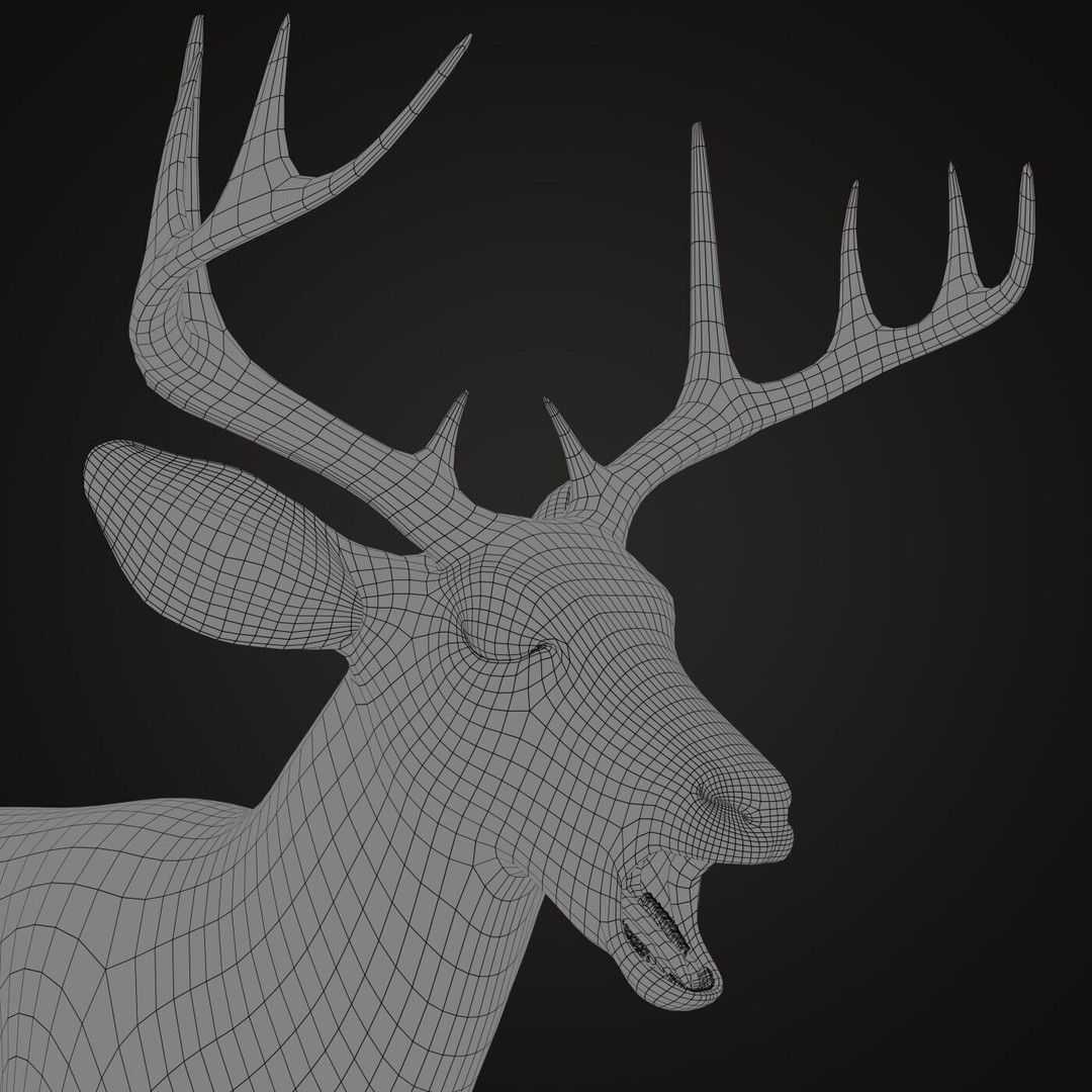Deer 3D Model – Photorealistic Rigged Animal with Textures - View 14