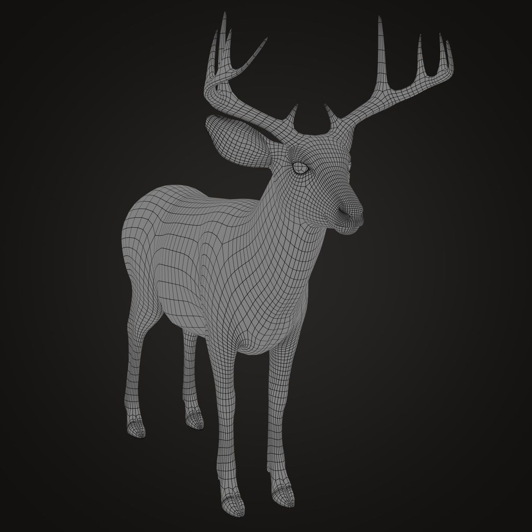 Deer 3D Model – Photorealistic Rigged Animal with Textures - View 9