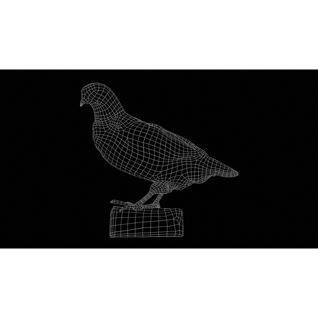 Partridge 3D Model – Low Poly Bird with PBR Textures, FBX - View 13
