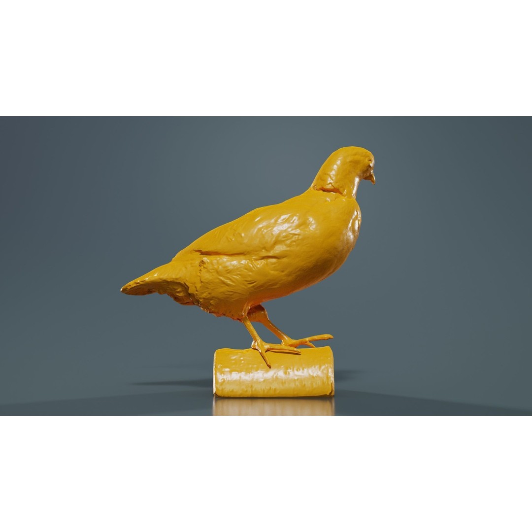 Partridge 3D Model – Low Poly Bird with PBR Textures, FBX - View 15
