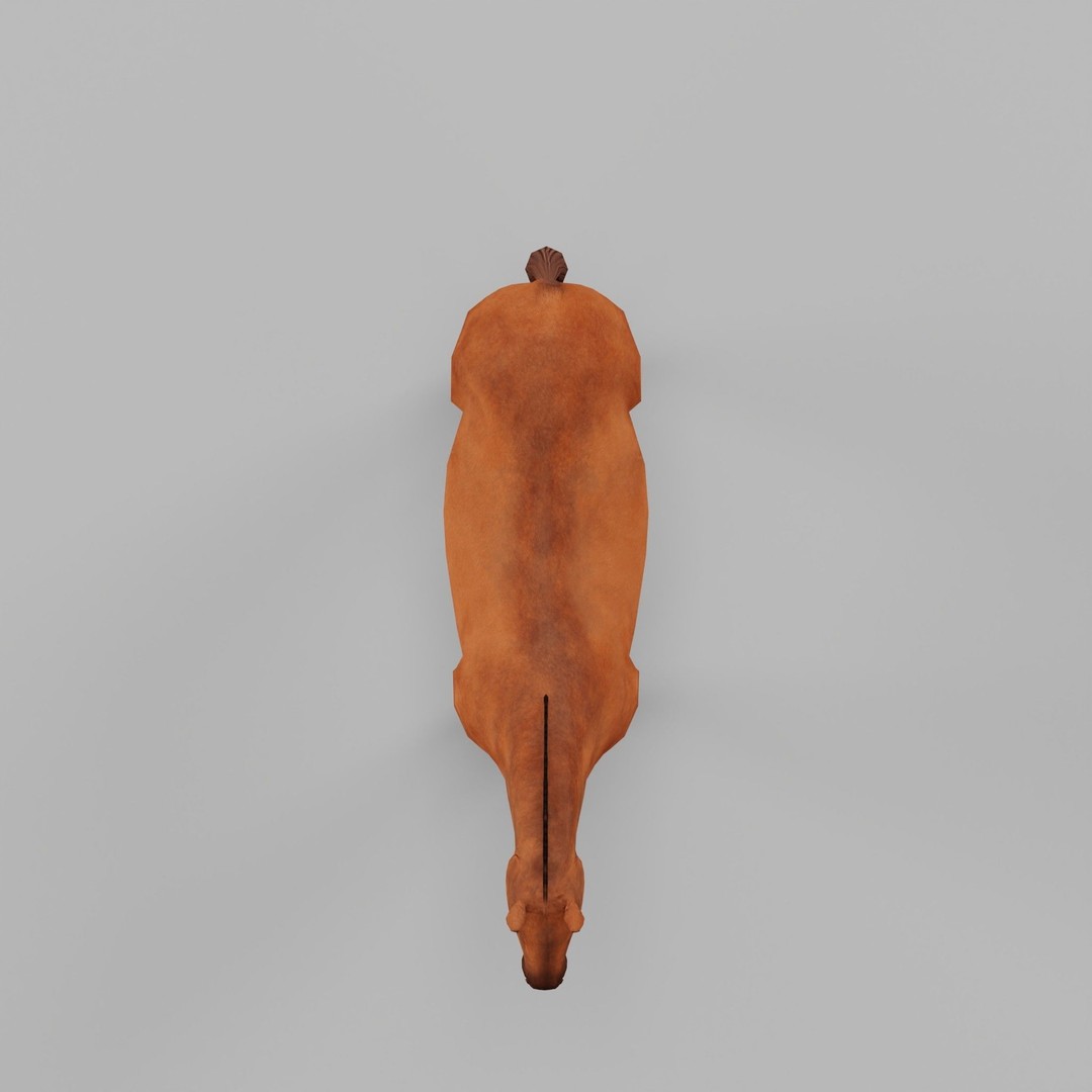 American Quarter Horse 3D Model – Low Poly Game Asset, FBX, PBR