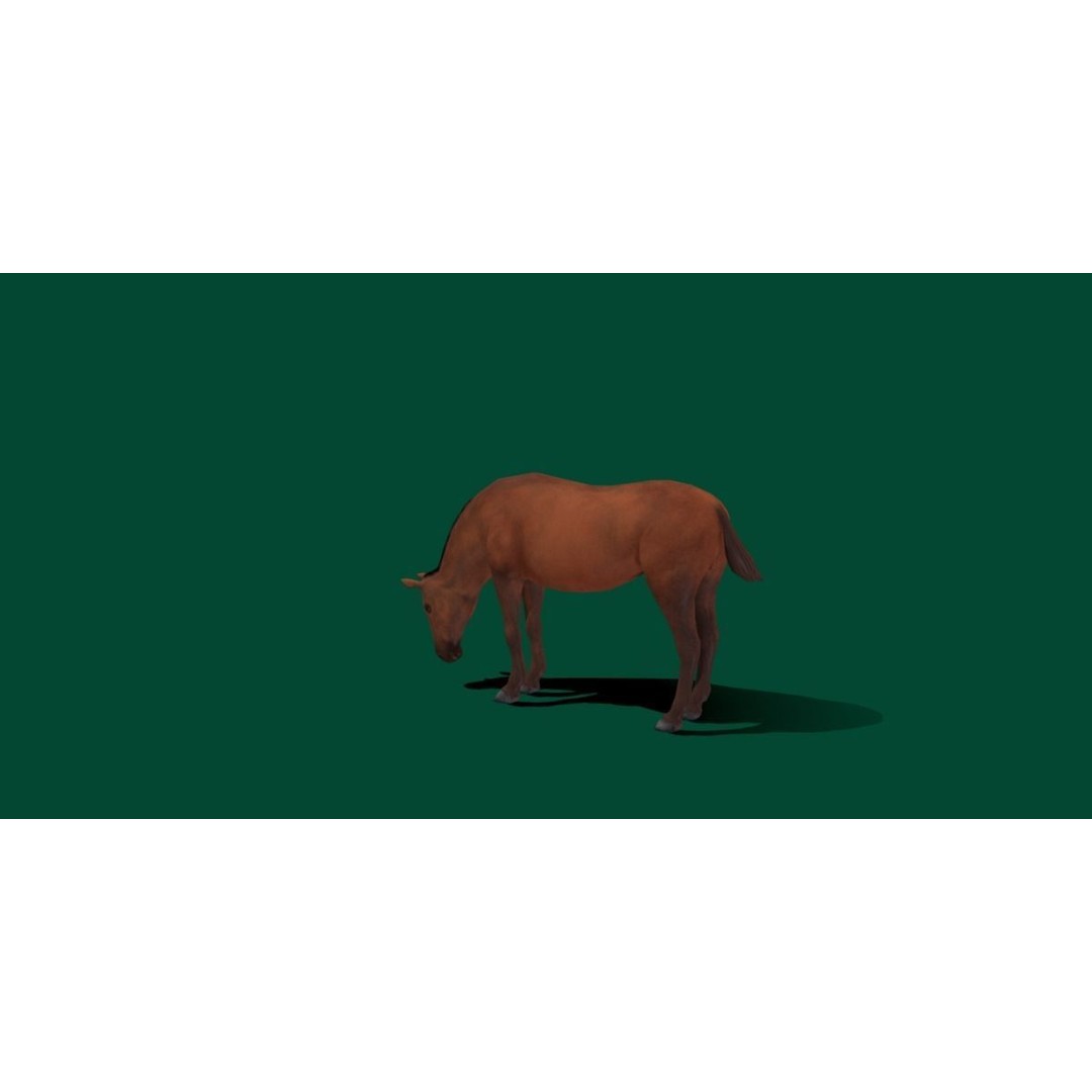 American Quarter Horse 3D Model – Low Poly Game Asset, FBX, PBR - View 15