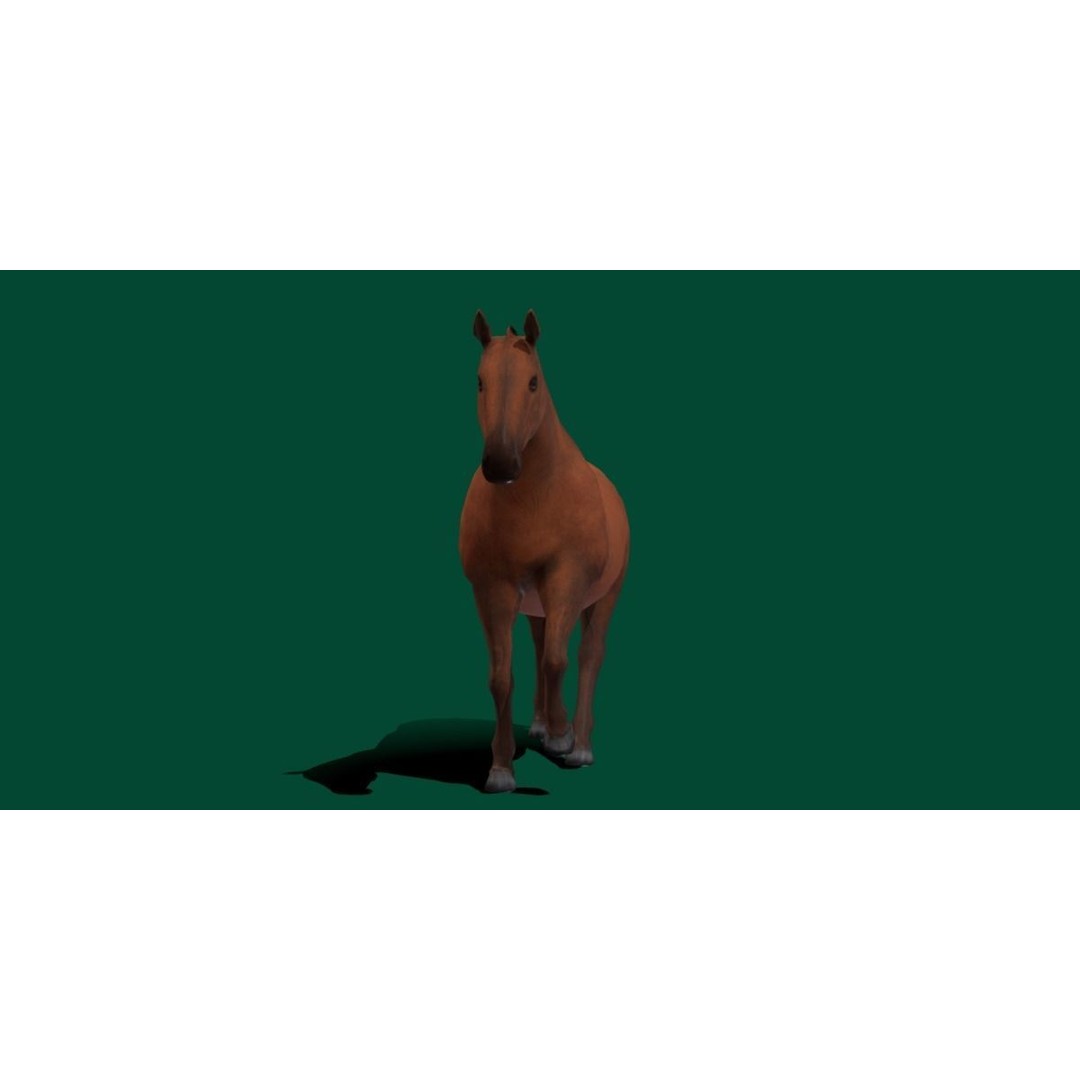 American Quarter Horse 3D Model – Low Poly Game Asset, FBX, PBR - View 16