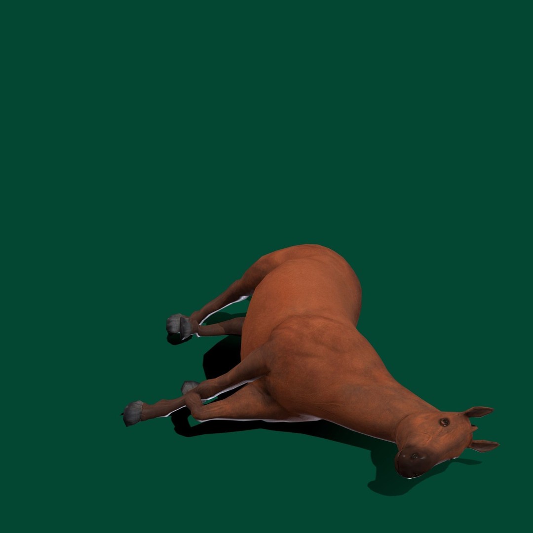 American Quarter Horse 3D Model – Low Poly Game Asset, FBX, PBR - View 19