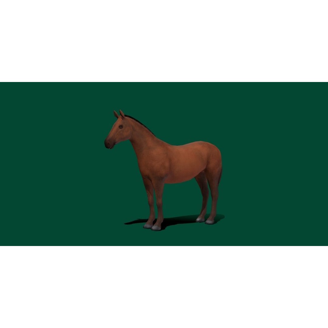 American Quarter Horse 3D Model – Low Poly Game Asset, FBX, PBR - View 21