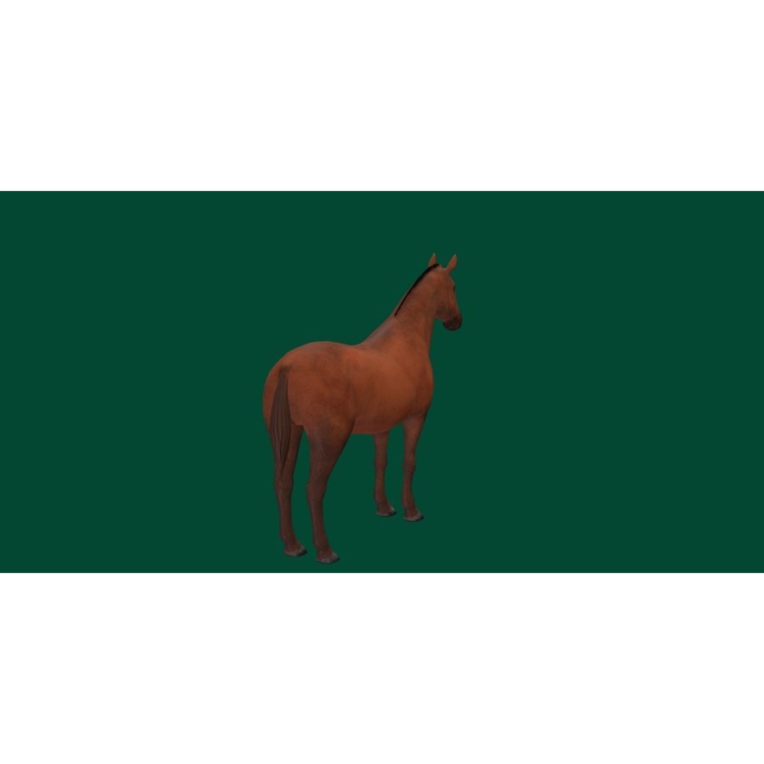 American Quarter Horse 3D Model – Low Poly Game Asset, FBX, PBR - View 22