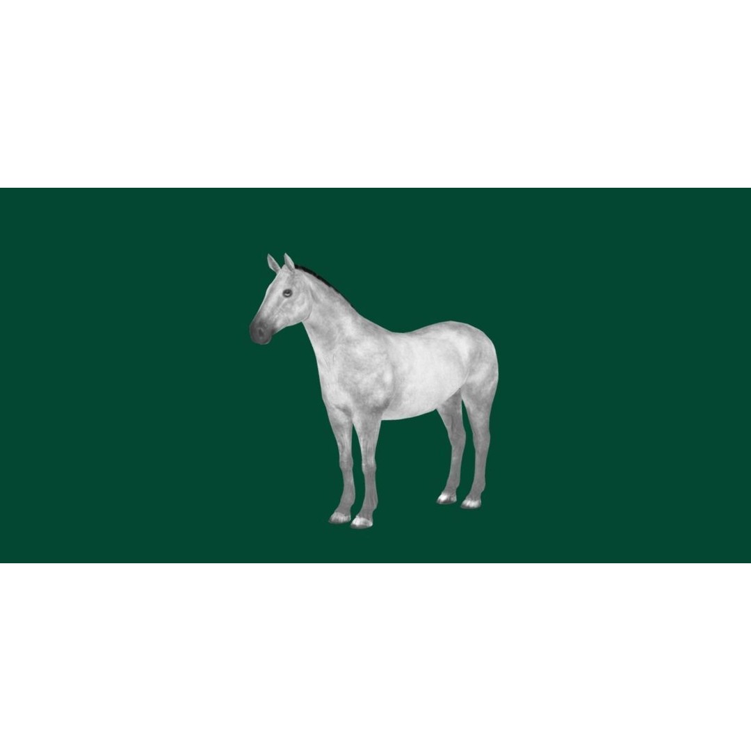American Quarter Horse 3D Model – Low Poly Game Asset, FBX, PBR - View 26