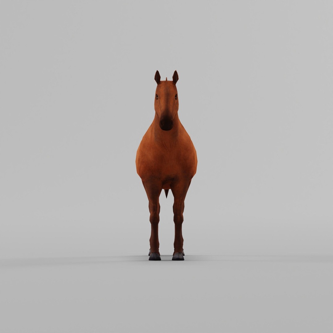 American Quarter Horse 3D Model – Low Poly Game Asset, FBX, PBR - View 28