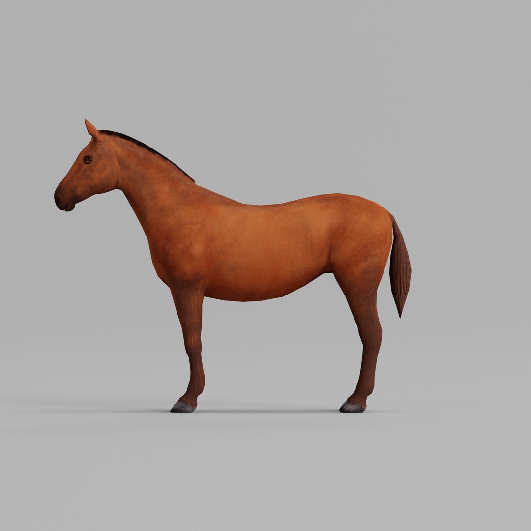 American Quarter Horse 3D Model – Low Poly Game Asset, FBX, PBR - View 29