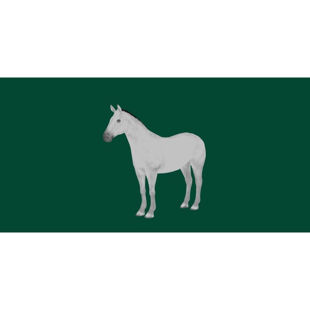 American Quarter Horse 3D Model – Low Poly Game Asset, FBX, PBR - View 5