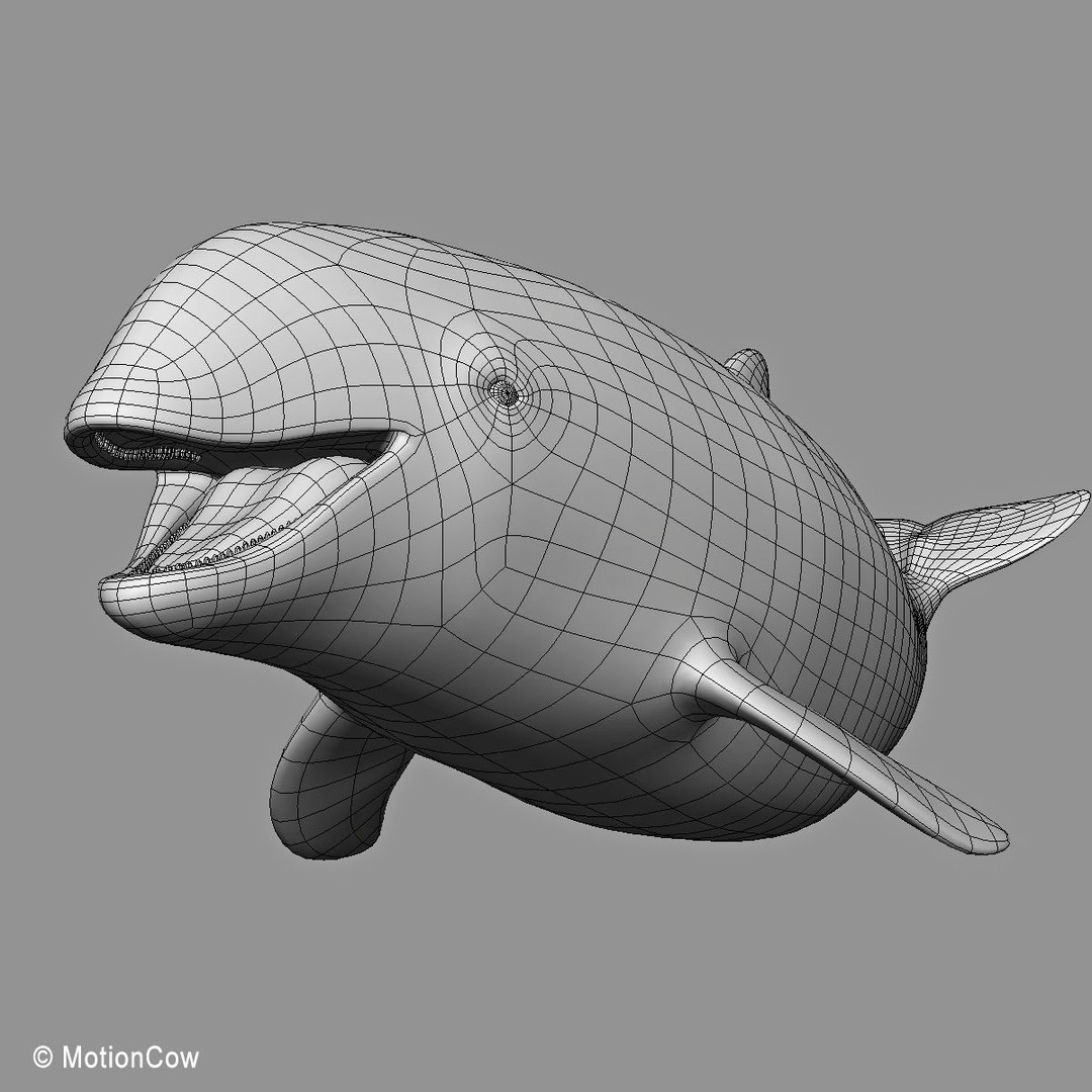 Harbour Porpoise 3D Model – Rigged and Animated, FBX, PBR Textures - View 20