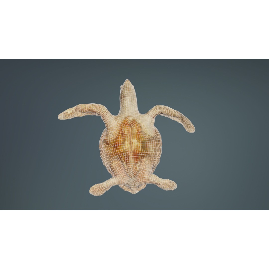 Sea Turtle 3D Model – Low Poly Game Asset, PBR Textures, FBX - View 12