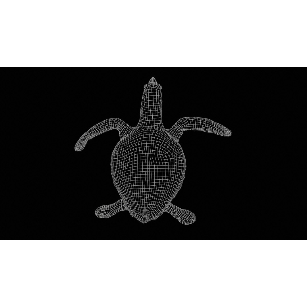 Sea Turtle 3D Model – Low Poly Game Asset, PBR Textures, FBX - View 13