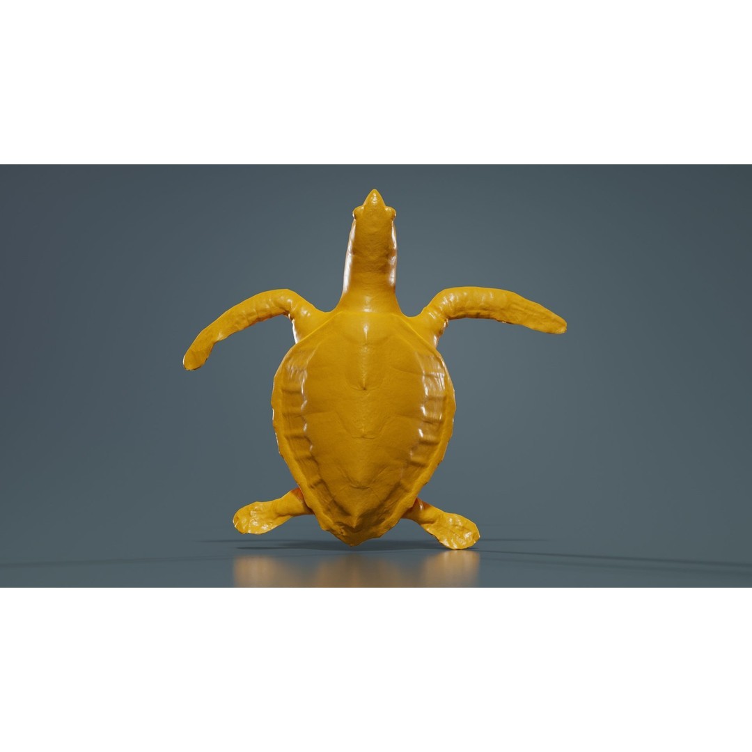 Sea Turtle 3D Model – Low Poly Game Asset, PBR Textures, FBX - View 14