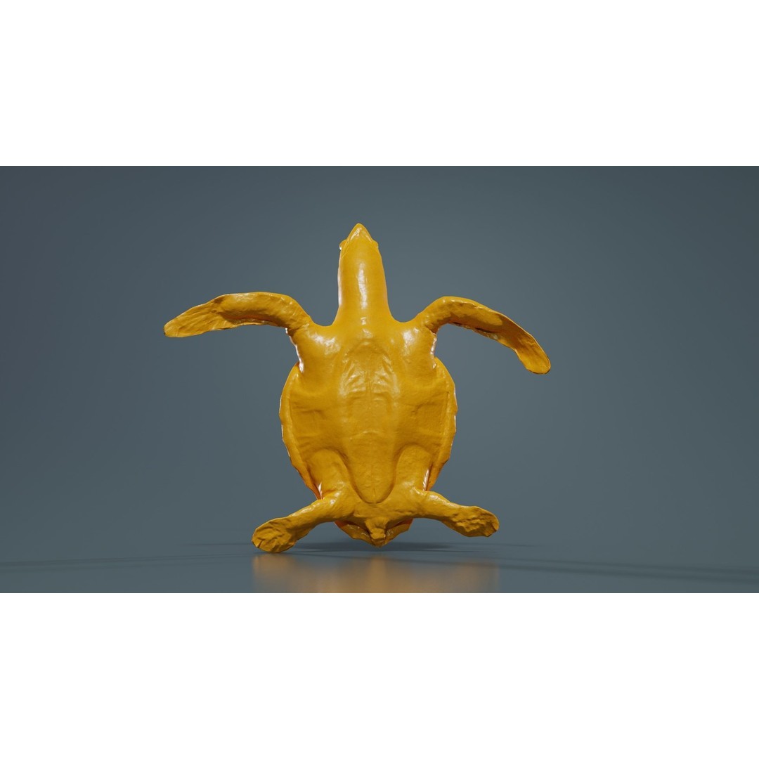Sea Turtle 3D Model – Low Poly Game Asset, PBR Textures, FBX - View 15