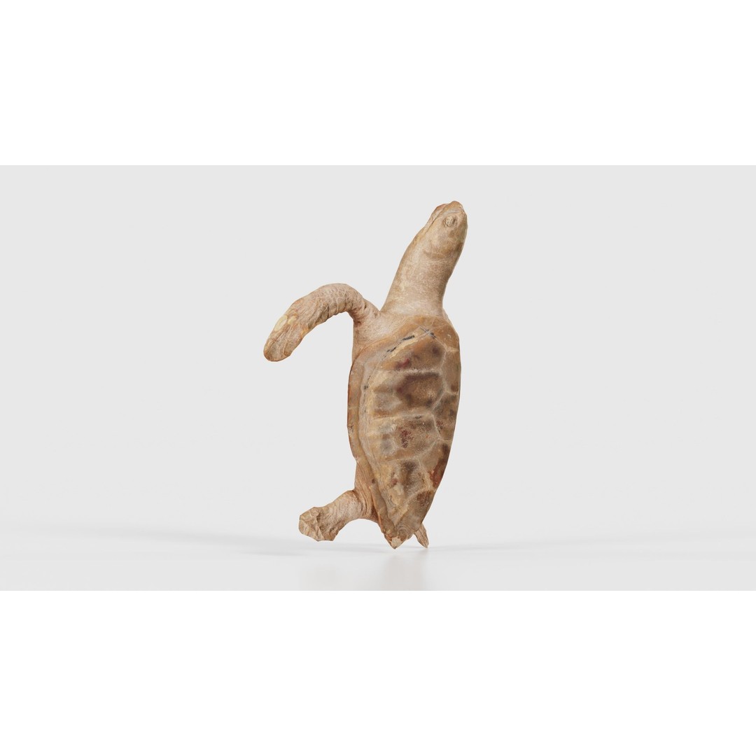 Sea Turtle 3D Model – Low Poly Game Asset, PBR Textures, FBX - View 19