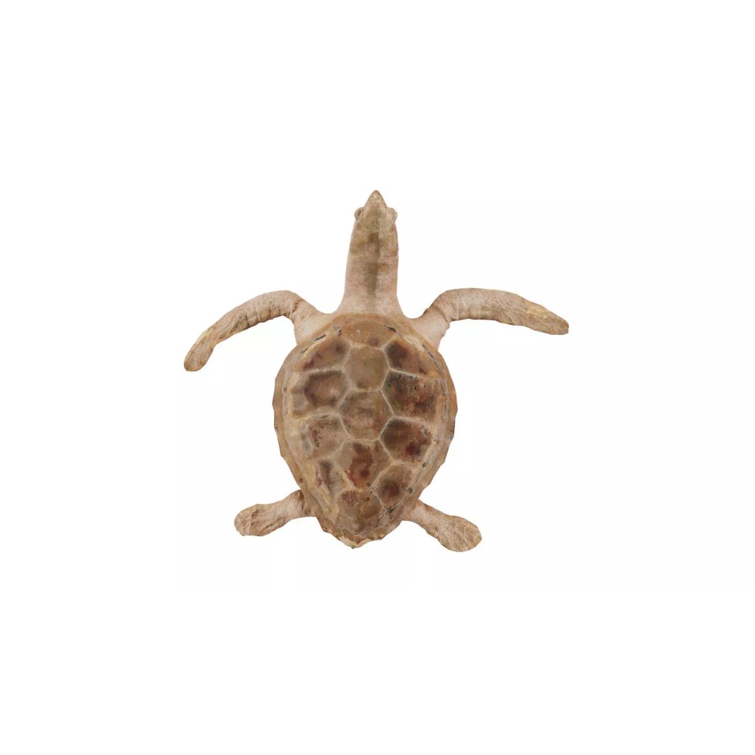 Sea Turtle 3D Model – Low Poly Game Asset, PBR Textures, FBX - View 2