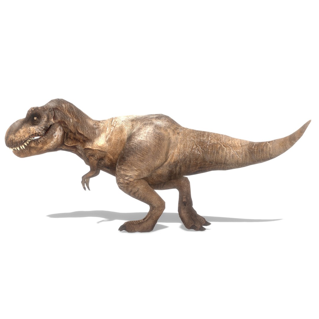 Tyrannosaurus Rex 3D Model – Low Poly Animated Asset, FBX - View 10