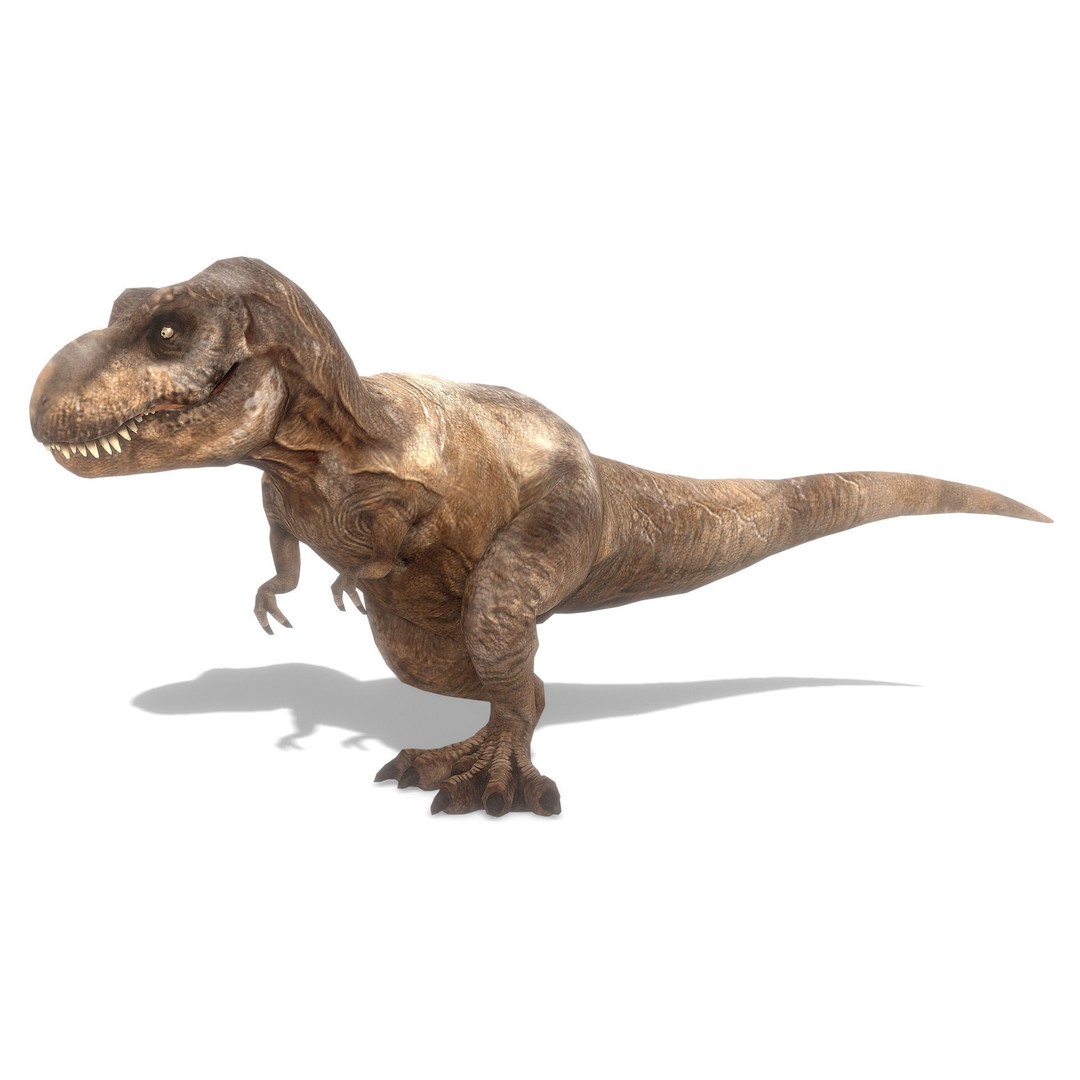 Tyrannosaurus Rex 3D Model – Low Poly Animated Asset, FBX - View 11