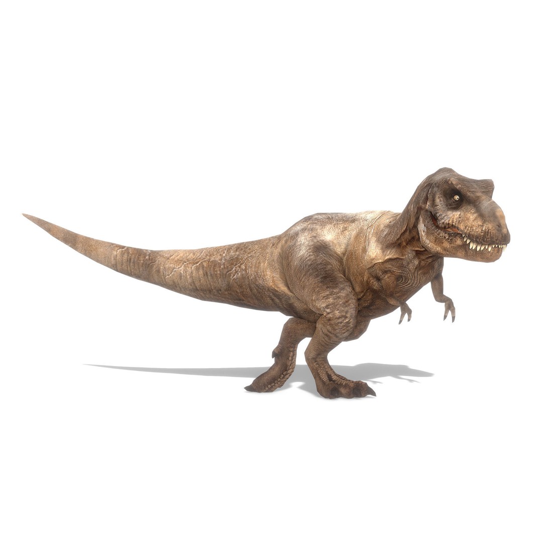 Tyrannosaurus Rex 3D Model – Low Poly Animated Asset, FBX - View 12