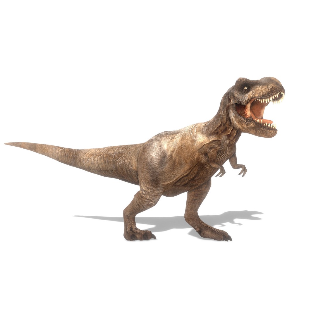 Tyrannosaurus Rex 3D Model – Low Poly Animated Asset, FBX - View 13