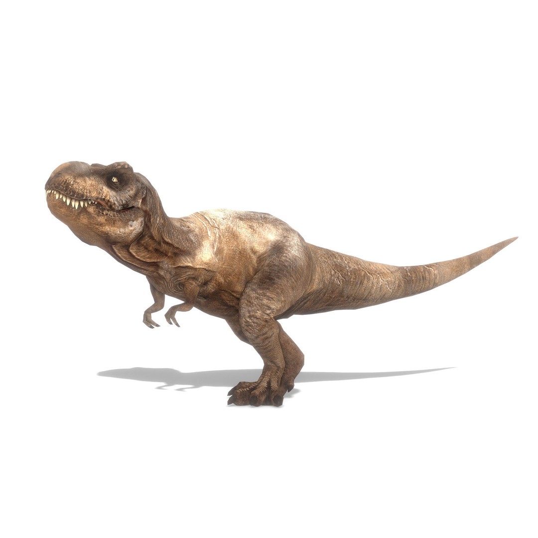 Tyrannosaurus Rex 3D Model – Low Poly Animated Asset, FBX - View 14