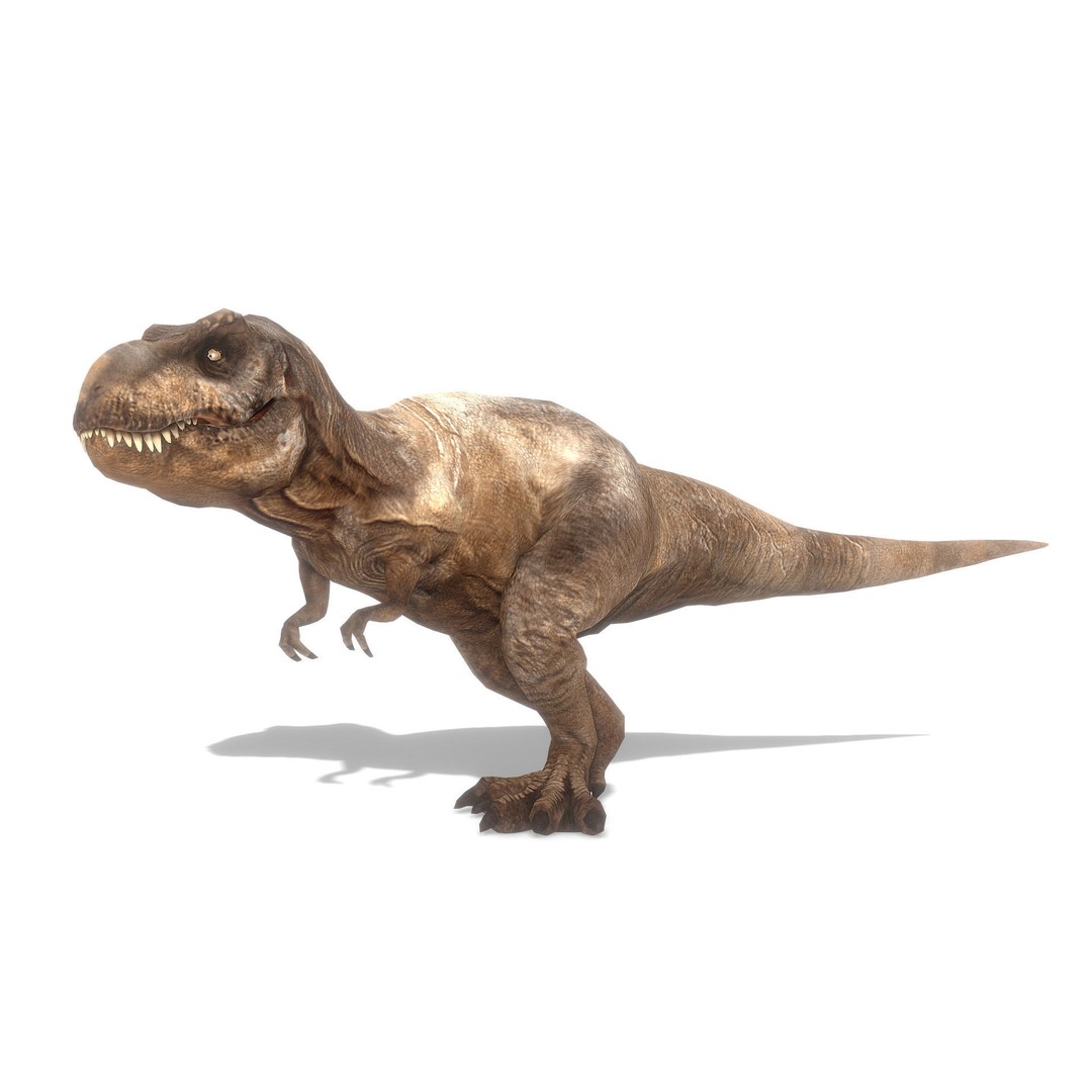 Tyrannosaurus Rex 3D Model – Low Poly Animated Asset, FBX - View 15