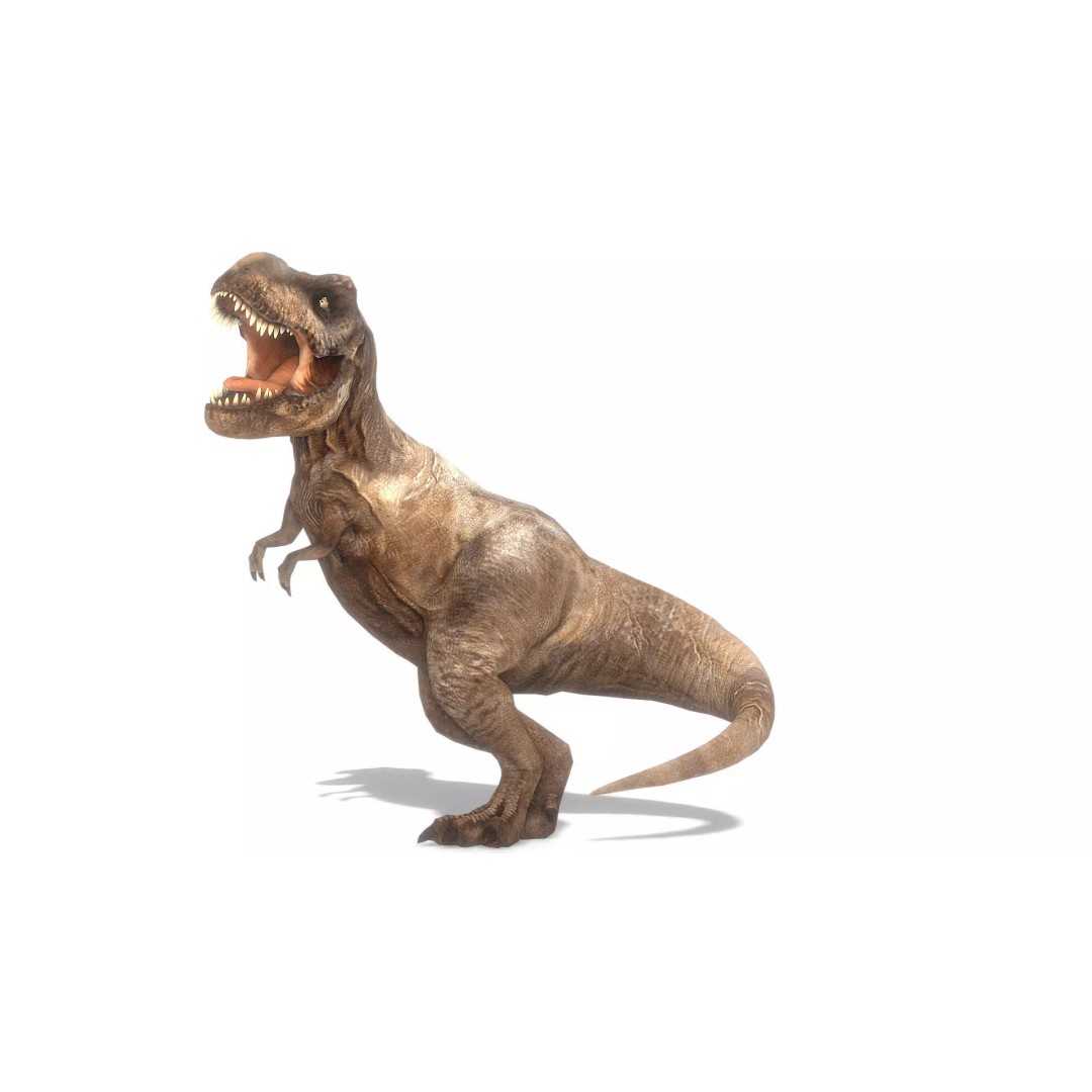 Tyrannosaurus Rex 3D Model – Low Poly Animated Asset, FBX - View 2