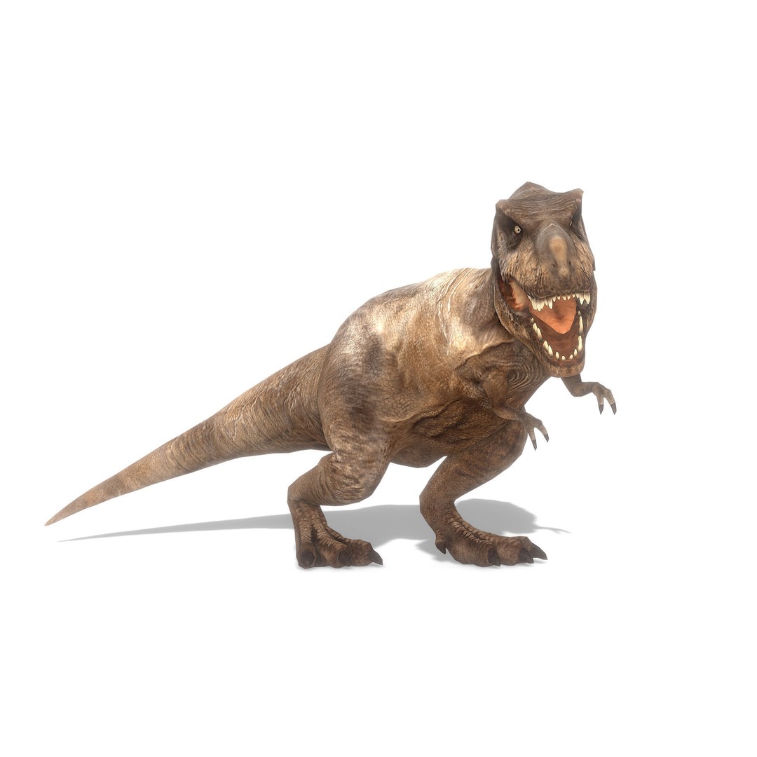 Tyrannosaurus Rex 3D Model – Low Poly Animated Asset, FBX - View 3