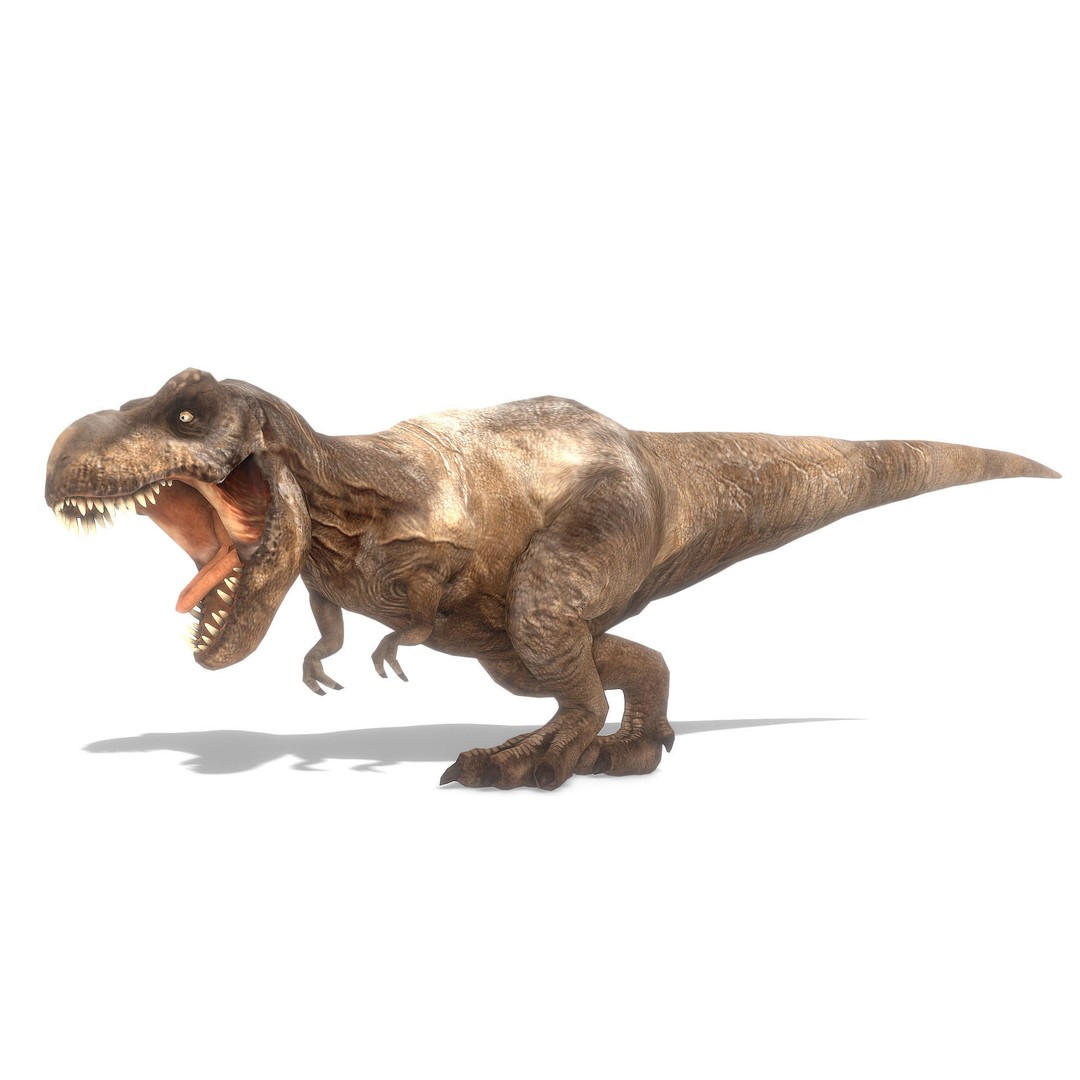 Tyrannosaurus Rex 3D Model – Low Poly Animated Asset, FBX - View 4