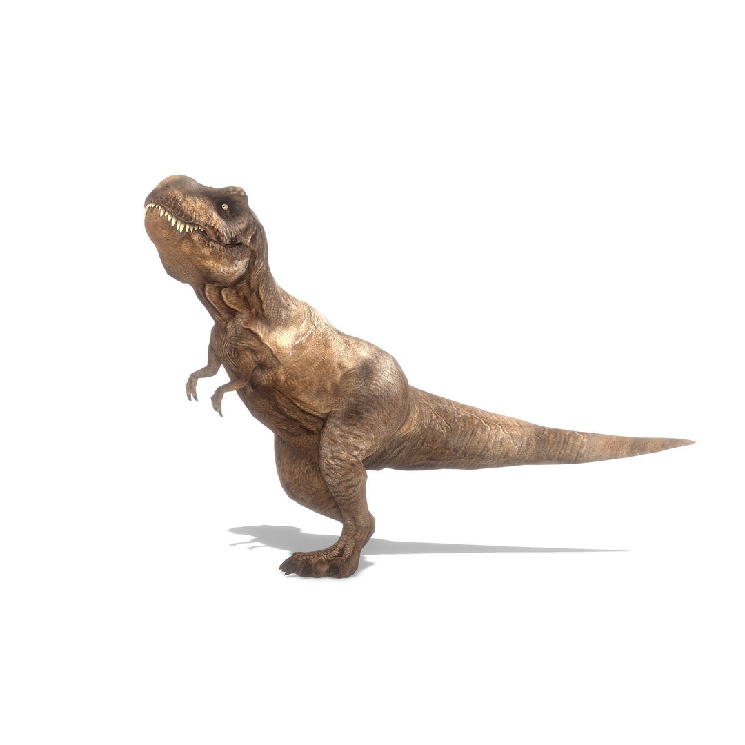 Tyrannosaurus Rex 3D Model – Low Poly Animated Asset, FBX - View 5