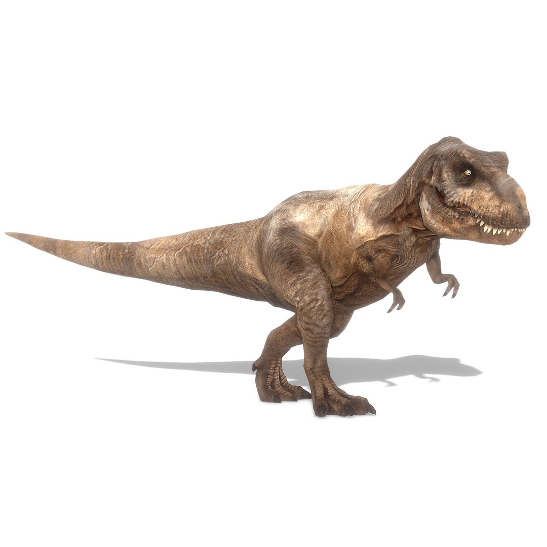 Tyrannosaurus Rex 3D Model – Low Poly Animated Asset, FBX - View 6