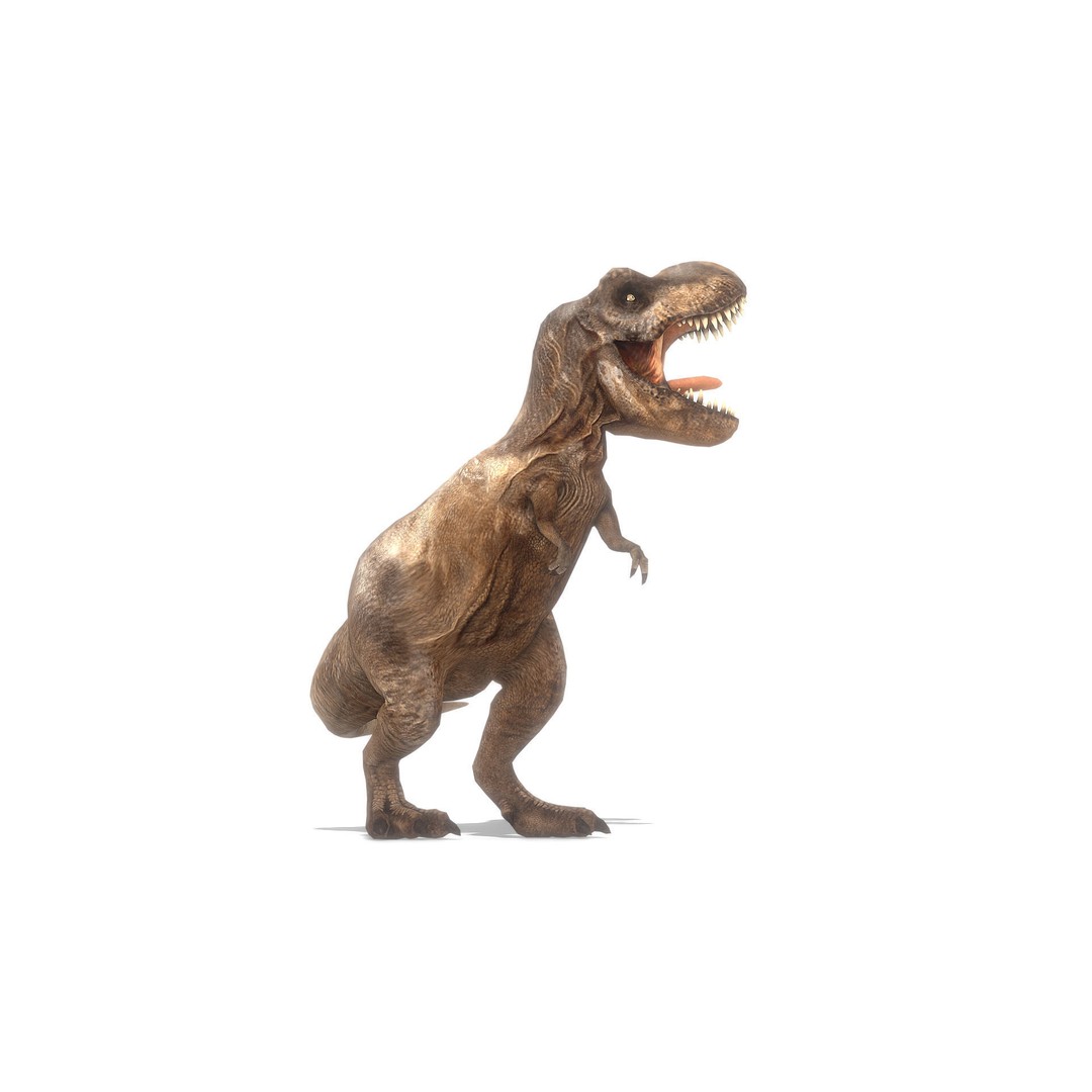 Tyrannosaurus Rex 3D Model – Low Poly Animated Asset, FBX - View 7
