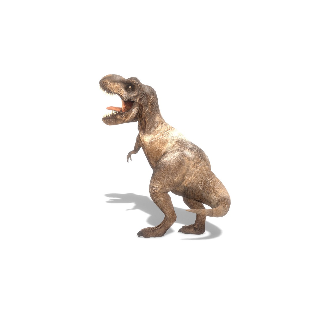 Tyrannosaurus Rex 3D Model – Low Poly Animated Asset, FBX - View 8