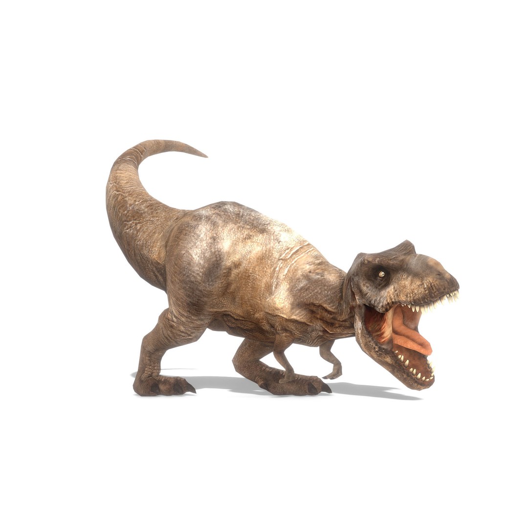 Tyrannosaurus Rex 3D Model – Low Poly Animated Asset, FBX - View 9