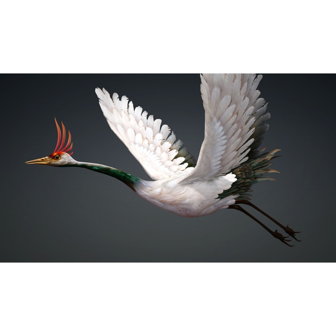 Crane Bird-B3 3D Model – Rigged Animated Asset with PBR Textures - View 10