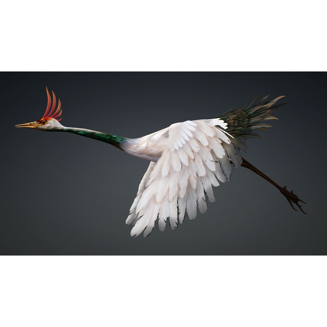 Crane Bird-B3 3D Model – Rigged Animated Asset with PBR Textures - View 11