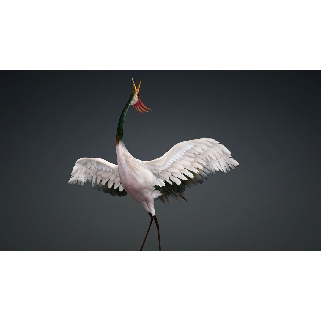 Crane Bird-B3 3D Model – Rigged Animated Asset with PBR Textures - View 14