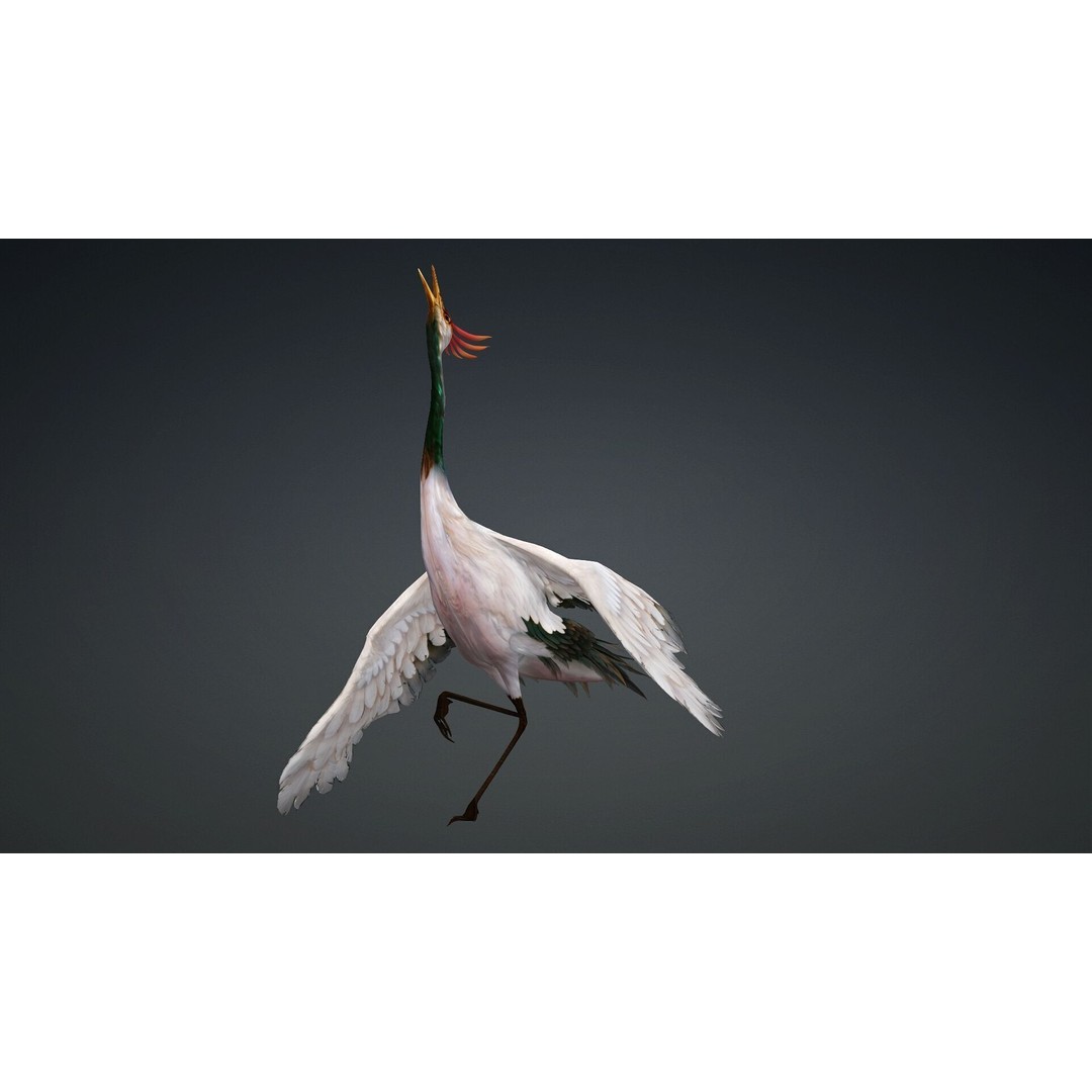 Crane Bird-B3 3D Model – Rigged Animated Asset with PBR Textures - View 15
