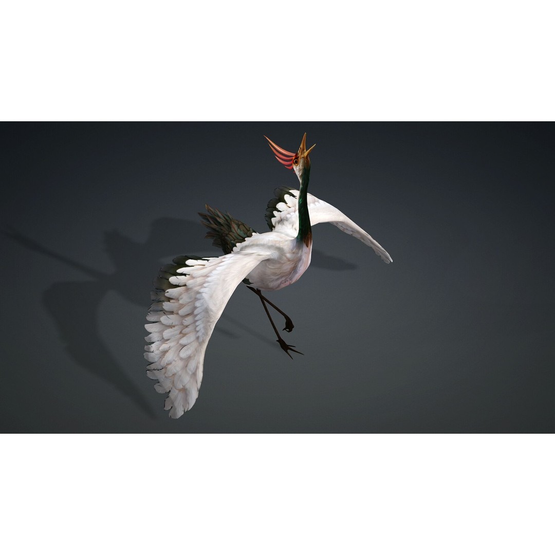 Crane Bird-B3 3D Model – Rigged Animated Asset with PBR Textures - View 16