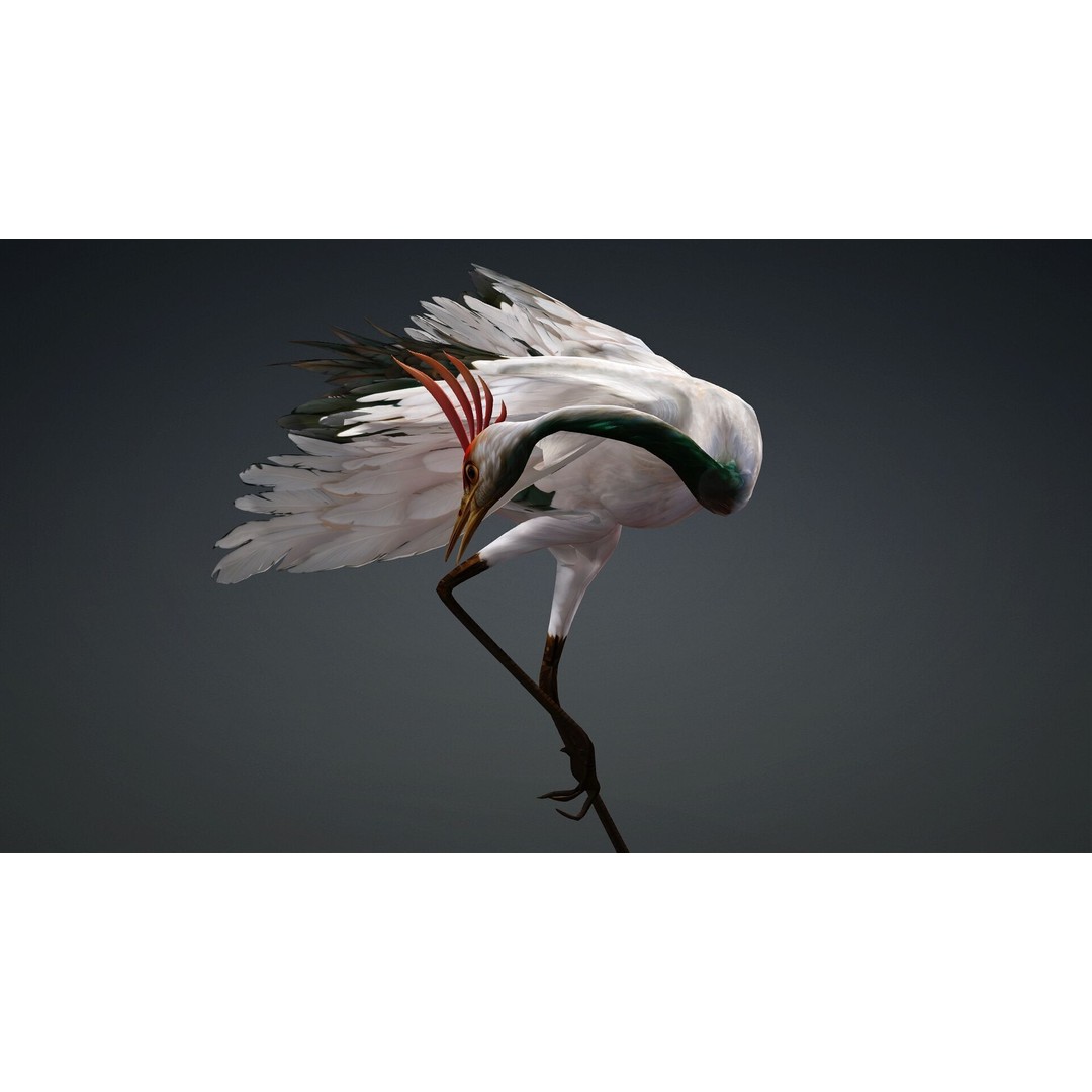 Crane Bird-B3 3D Model – Rigged Animated Asset with PBR Textures - View 17