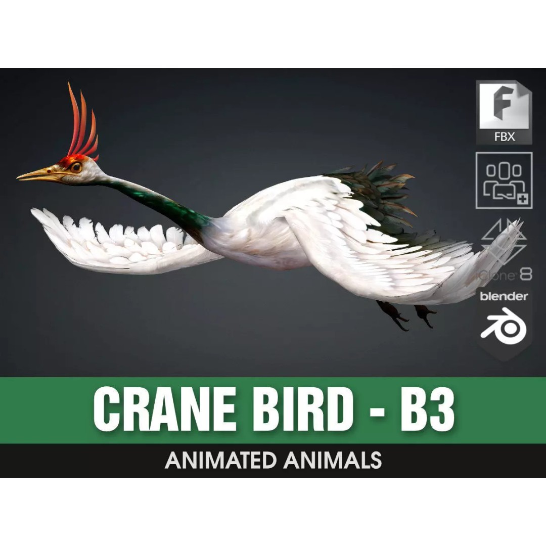 Crane Bird-B3 3D Model – Rigged Animated Asset with PBR Textures - View 2