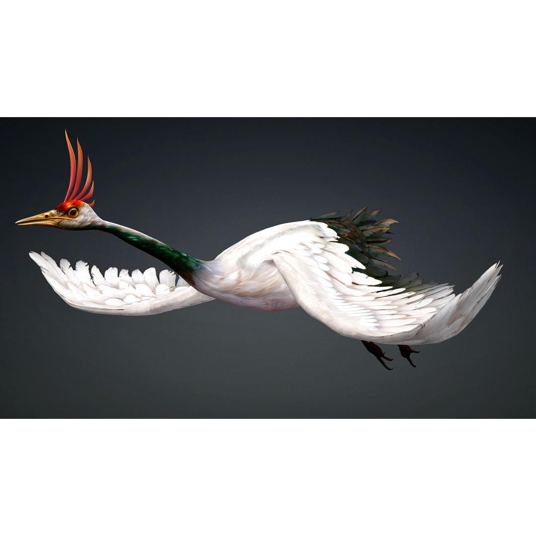 Crane Bird-B3 3D Model – Rigged Animated Asset with PBR Textures - View 3