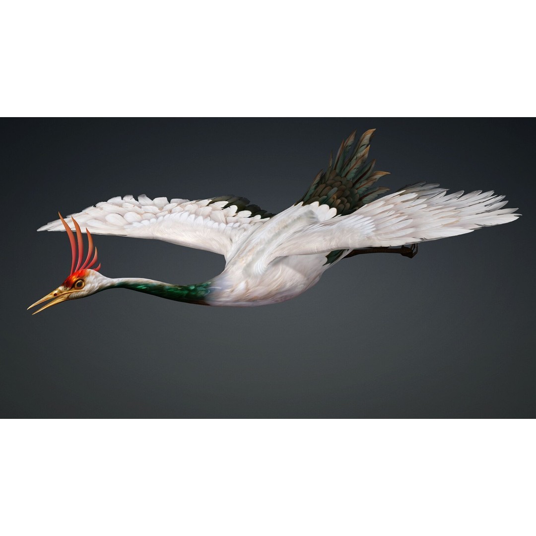 Crane Bird-B3 3D Model – Rigged Animated Asset with PBR Textures - View 4