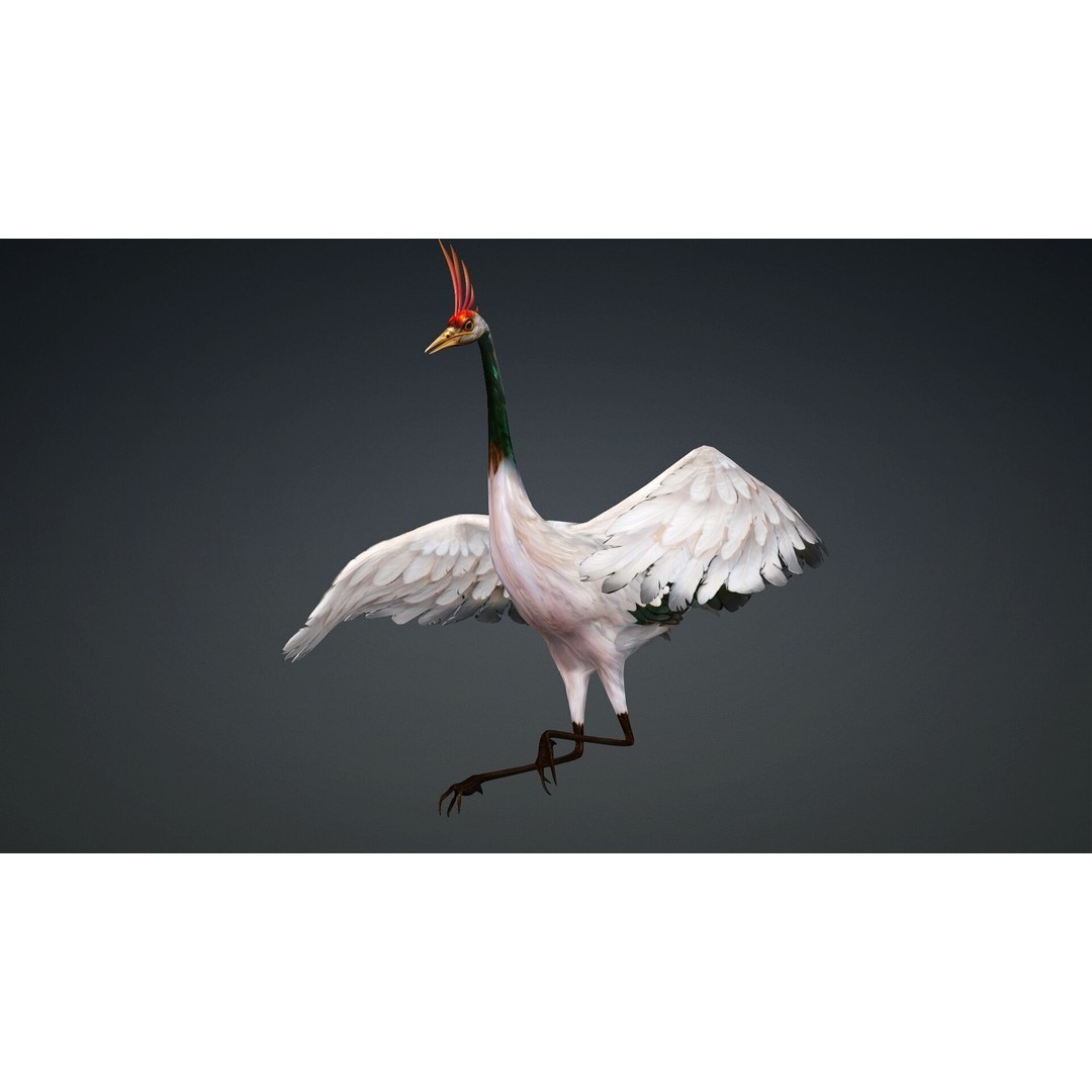 Crane Bird-B3 3D Model – Rigged Animated Asset with PBR Textures - View 5