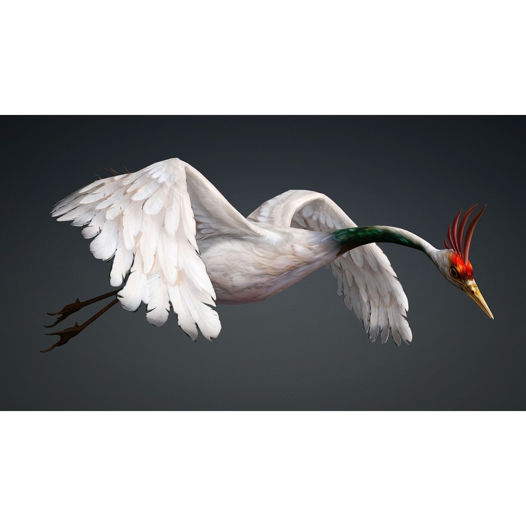 Crane Bird-B3 3D Model – Rigged Animated Asset with PBR Textures - View 6
