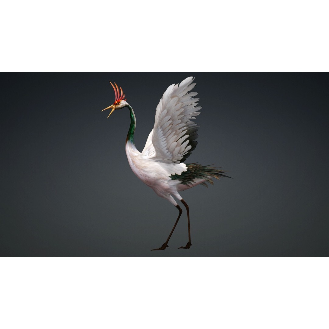 Crane Bird-B3 3D Model – Rigged Animated Asset with PBR Textures - View 7